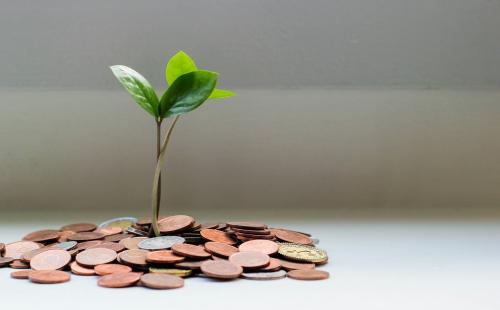 Plant growing through pile of coins