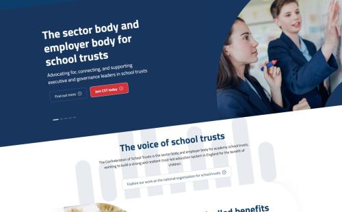 Screenshot of CST website